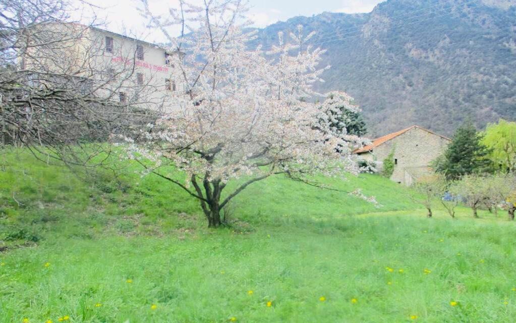 La Pommeraie Casteil 外观 照片